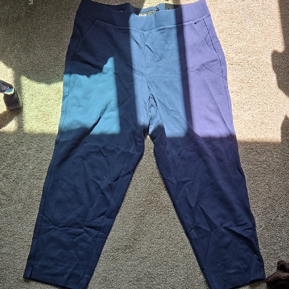 Pull On Relaxed Taper Ponte Pants